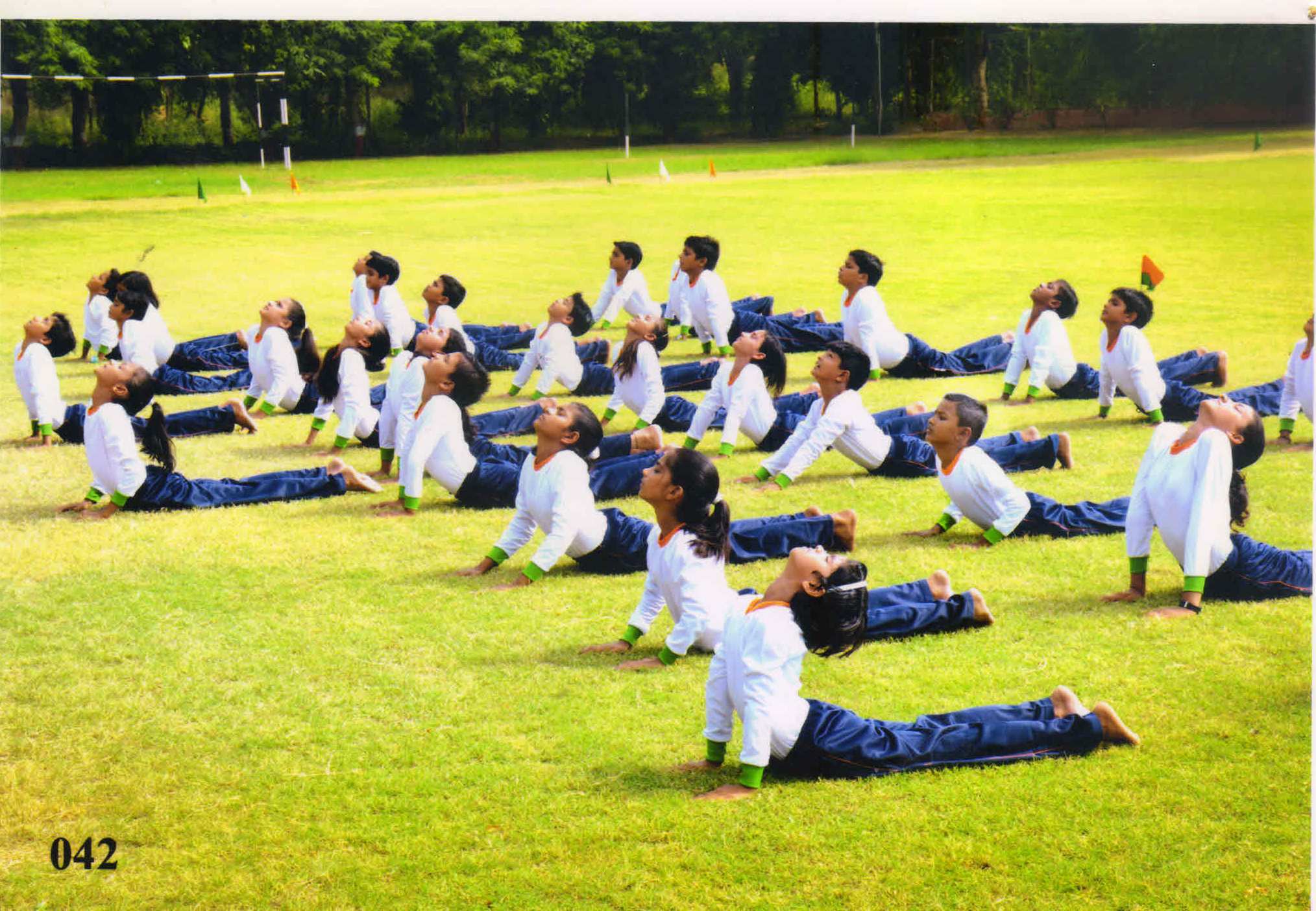 Mandelia School- karate